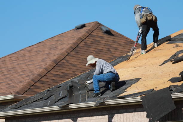 Best Skylight Installation and Repair  in Wixom, MI